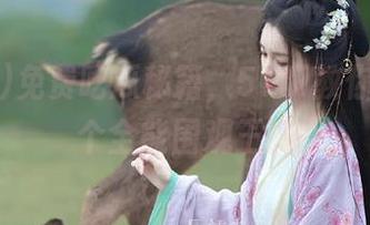 免费吃瓜秘籍，51hl教你如何当个全能围观王！