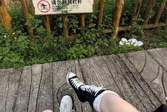登录91cg，你离吃瓜只差一步！快来看看‘www’背后的秘密！