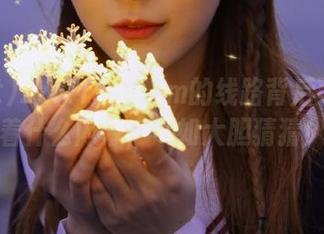 zztt155.ccm的线路背后可能藏着什么内幕，不如大胆猜猜！