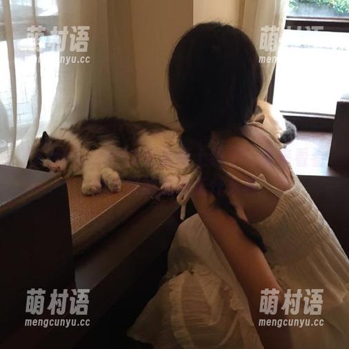 zztt11苹果版上线了,快来看看别人家的瓜都长什么样-萌村语 zztt11苹果版上线了,快来看看别人家的瓜都长什么样-萌村语