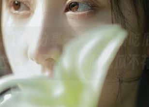 分享一波，免费吃瓜网真是个好去处，居然能一起吃瓜不花钱！