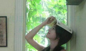 苹果版黑料在线：每天一则黑料，别太相信爱！