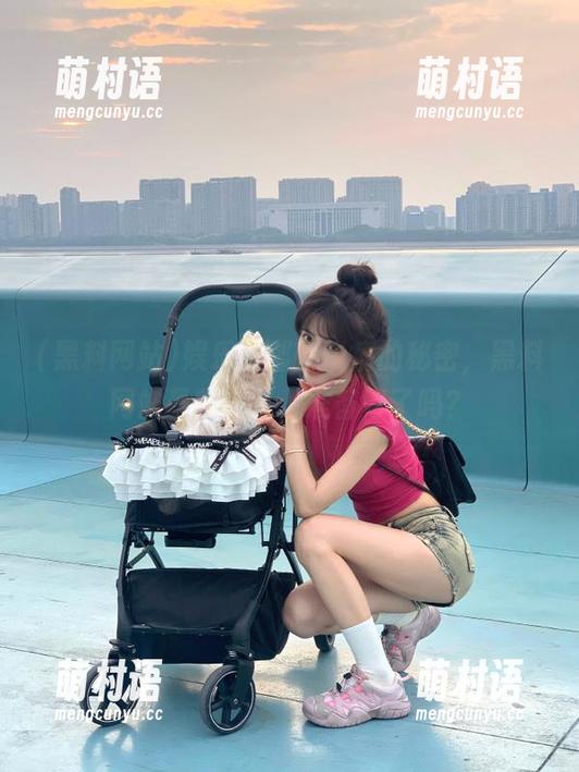 娱乐圈那些惨痛的秘密,黑料网站最新揭秘,准备好了吗?-萌村语 娱乐圈那些惨痛的秘密,黑料网站最新揭秘,准备好了吗?-萌村语