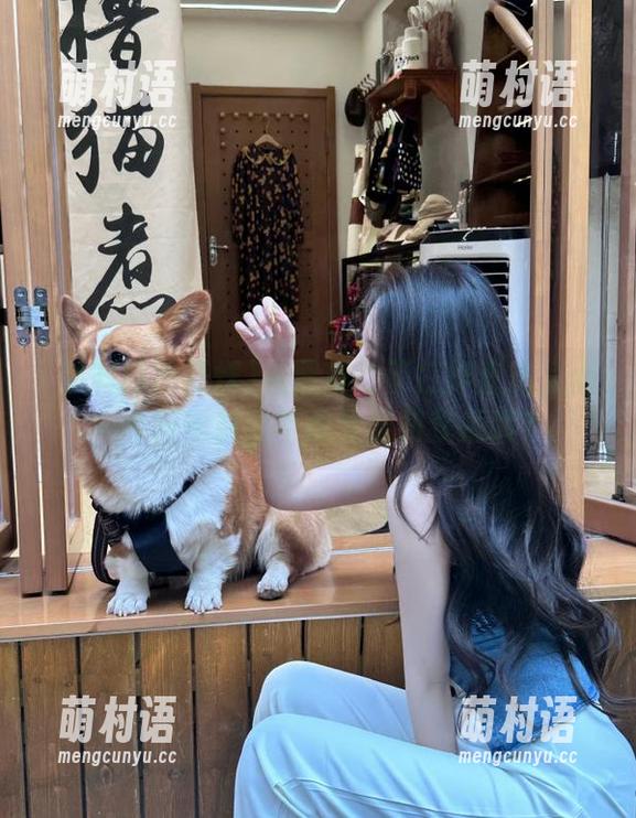 从黑料门不打烊直达人心，今日黑料是不是又要罚我捂嘴？-萌村语